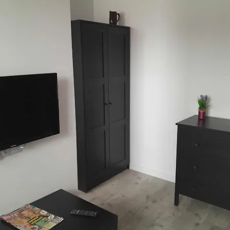 Przy Zamku - Apartament